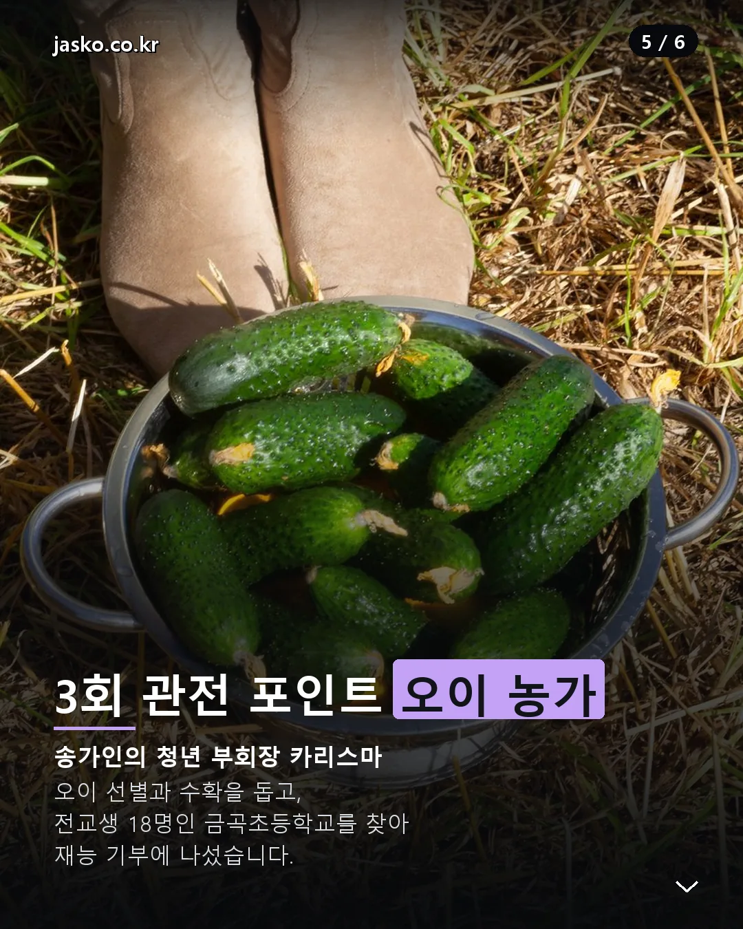 제철리 마을회관 3회 진주 오이 농가 금곡초등학교