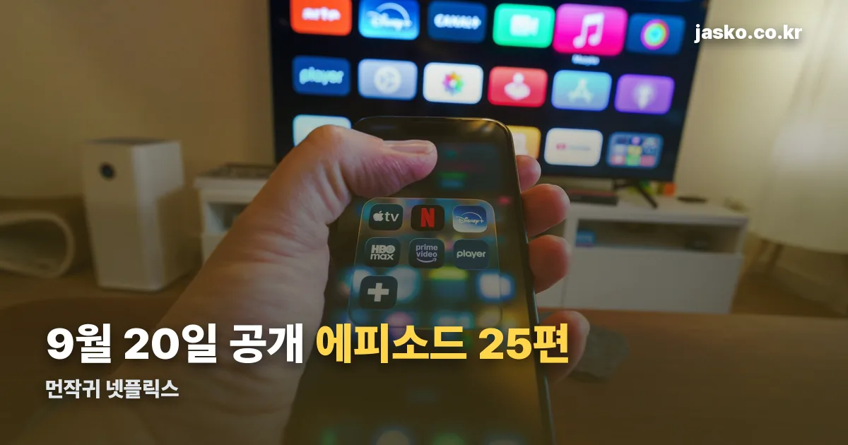 먼작귀 넷플릭스 정리 썸네일