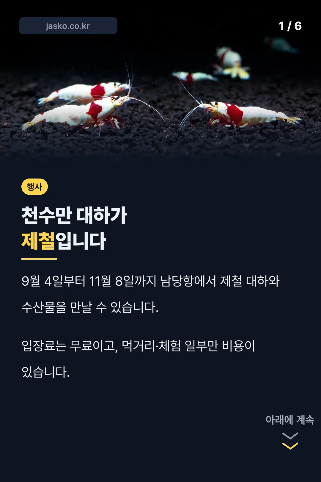 홍성남당항 대하축제 표지