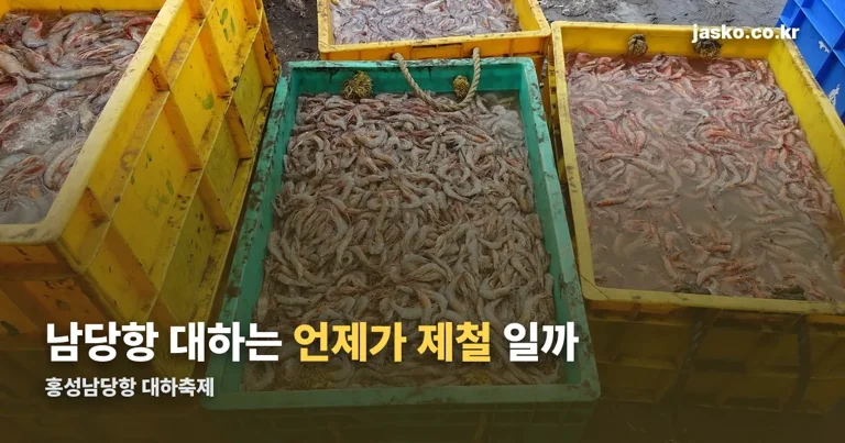 홍성남당항 대하축제 정리 썸네일