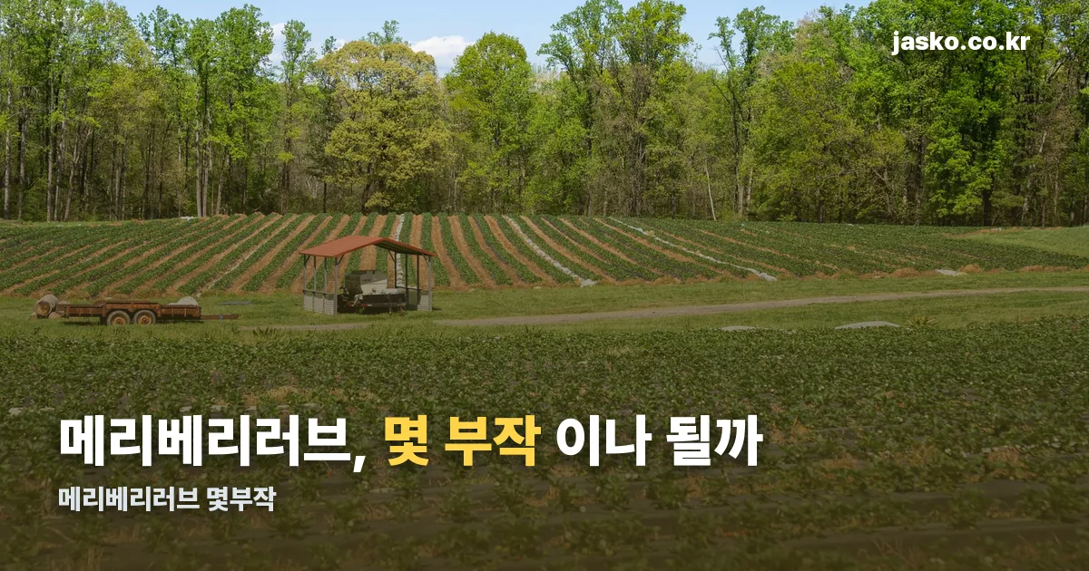메리베리러브 몇부작 정리 썸네일