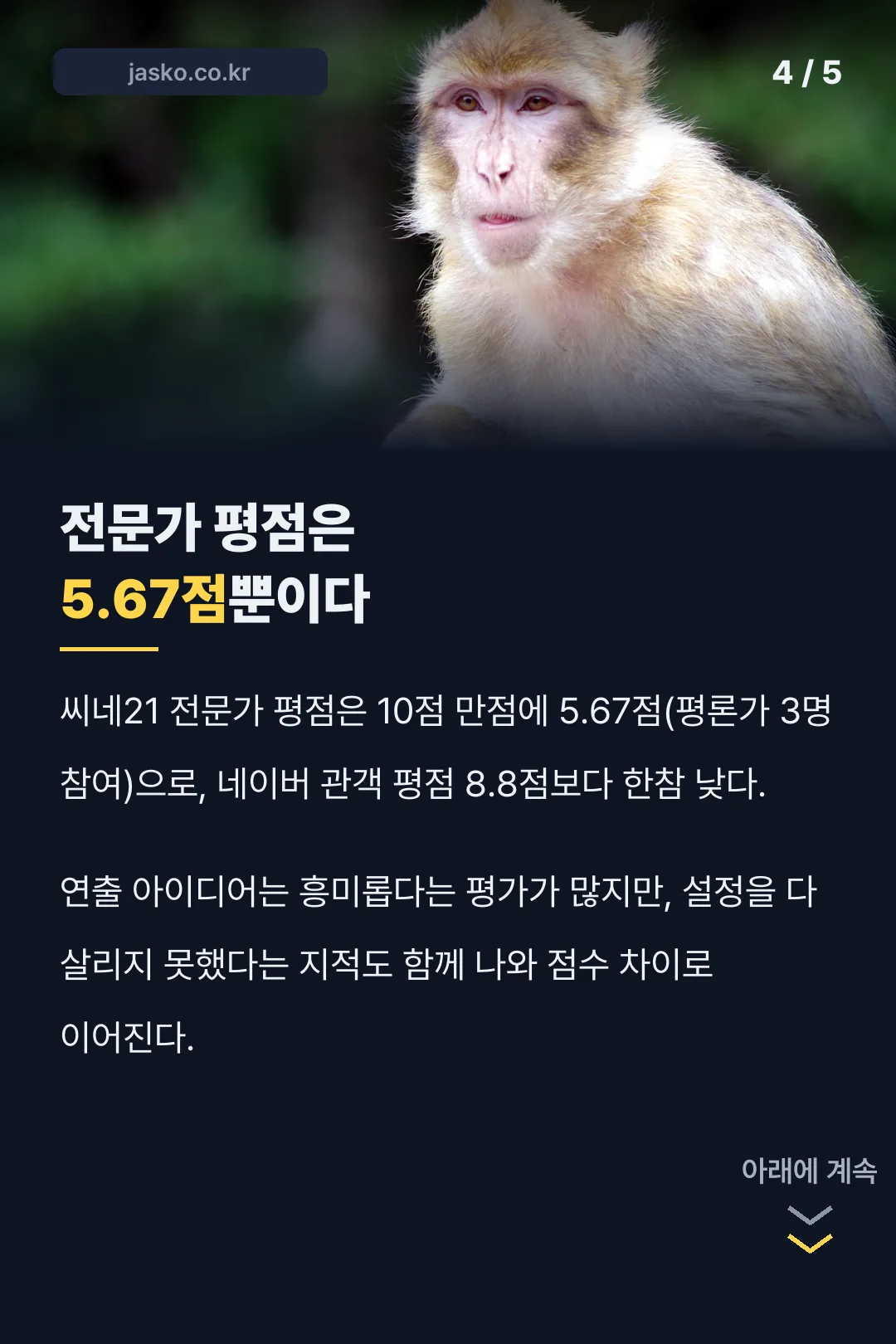 씨네21 전문가 평점